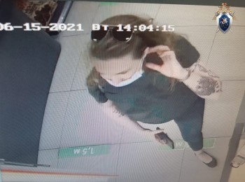 Записи видеокамер и регистраторов собирают в поисках пропавшей в Нижегородской области американки