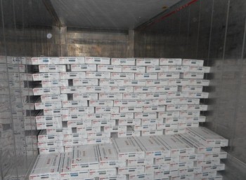 Мордовия начала поставки свинины в Африку