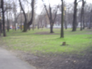 Булавинов не уверен, что инвестпроект в парке "Дубки" в Н.Новгороде будет реализован