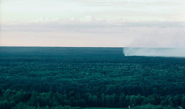 Два лесных пожара ликвидировали в Нижегородской области за сутки Два лесных пожара ликвидировали в Нижегородской области за сутки