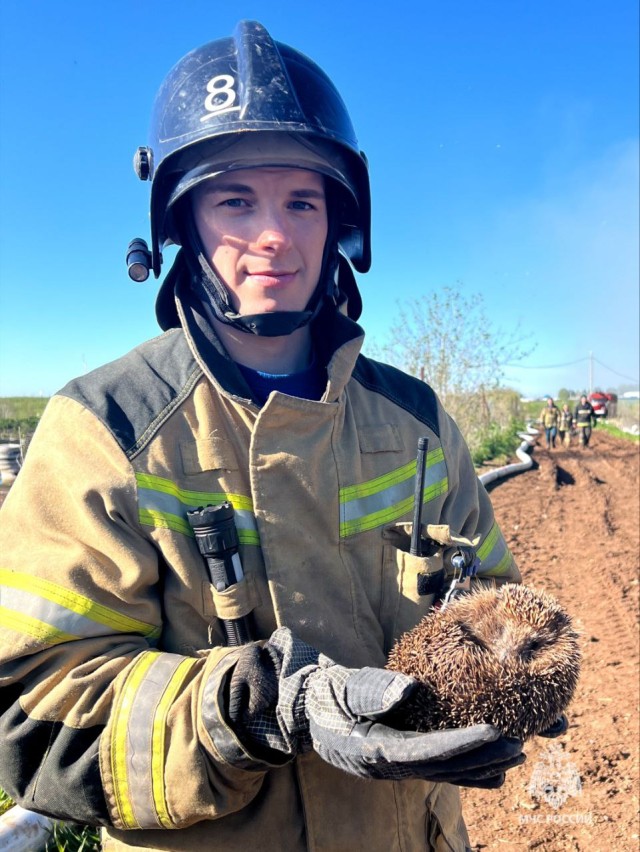 Пермские огнеборцы спасли ёжика из пожара на свалке