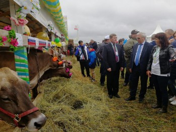 Более 100 агропредприятий приняли участие в агрофестивале &quot;День поля -2019&quot; в Нижегородской области