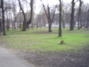 Мэрия Н.Новгорода получила рекомендацию до конца 2010 года разработать программу социально-экономического развития поселка Зеленый город