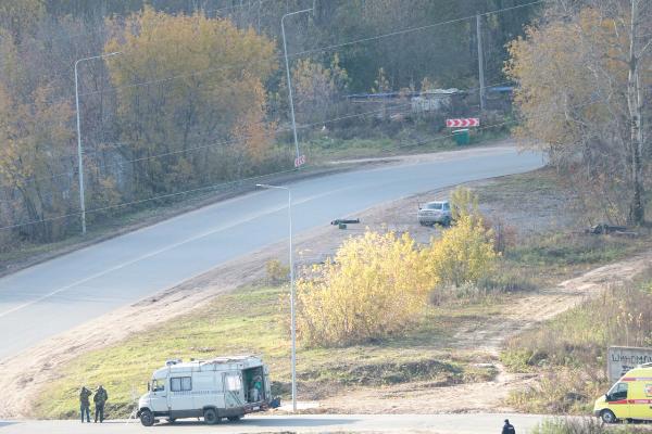 фото: группа ЖК Цветы в соцсети