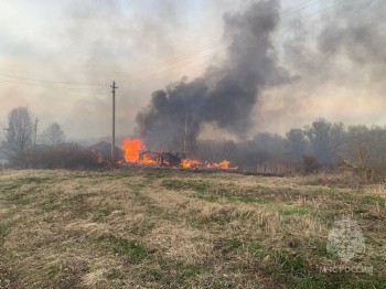 Шесть строений сгорели в Сергачском округе из-за пала травы Шесть строений сгорели в Сергачском округе из-за пала травы
