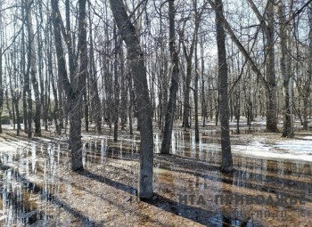 18 ПВР подготовят в Чувашии на случай осложнения паводковой обстановки