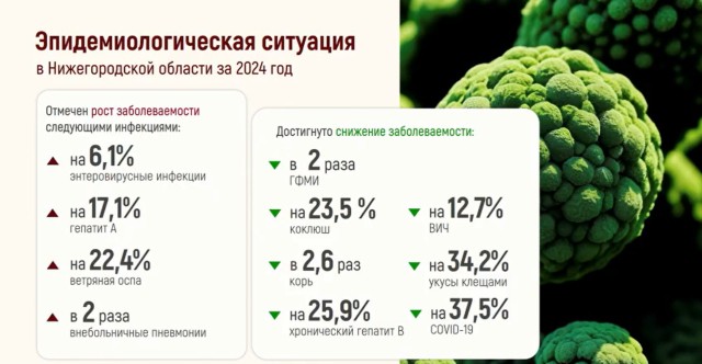 Заболеваемость Covid-19 снизилась в Нижегородской области на 37,5 % в 2024 году Заболеваемость Covid-19 снизилась в Нижегородской области на 37,5 % в 2024 году