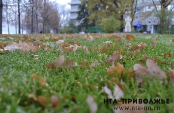 Народные приметы: 3 октября Народные приметы: 3 октября