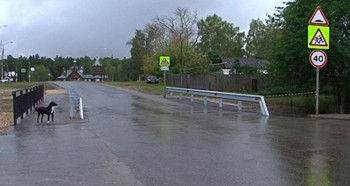 Тротуар на улице Лучистой в поселке Березовая пойма появился после обращения к мэру Нижнего Новгорода Владимиру Панову