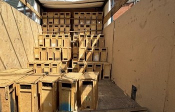Нелегальный ввоз 250 пчелопакетов из Узбекистана пресекли в Чувашии Нелегальный ввоз 250 пчелопакетов из Узбекистана пресекли в Чувашии