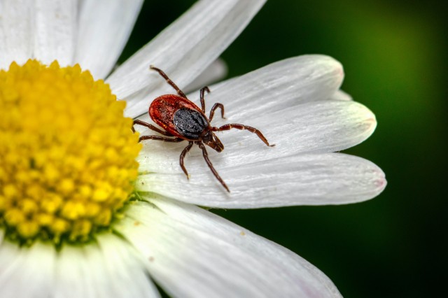 Photo by Erik Karits on Unsplash