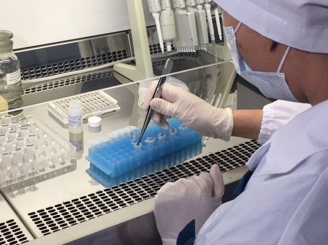 Более 20 укушенных клещами жителей Нижегородской области обратились к медикам за помощью с начала 2020 года