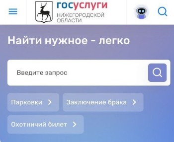 Нижегородцам стало доступно приложение "Госуслуги. Нижегородская область" 