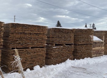 Ульяновская область экспортировала 720 куб. м. пиломатериалов в Казахстан