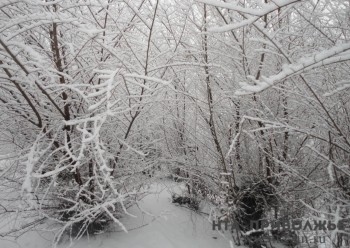 Сильный снегопад вновь накроет Нижегородскую область 8 февраля