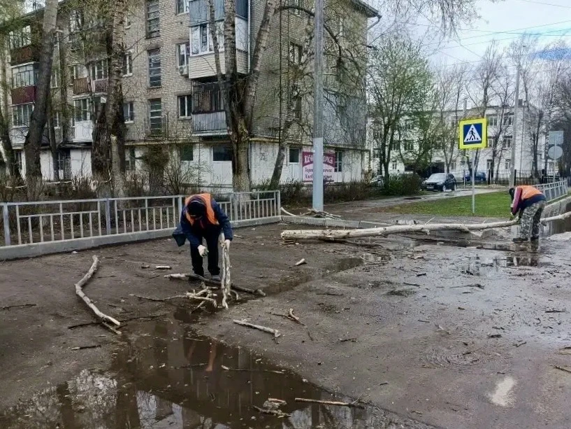 Ветер повалил 18 деревьев в Нижнем Новгороде
