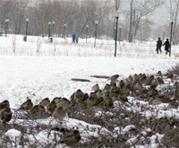 В Нижегородской области в новогоднюю ночь ожидается небольшой снег и мороз -9…-14 градусов - Гидрометцентр
