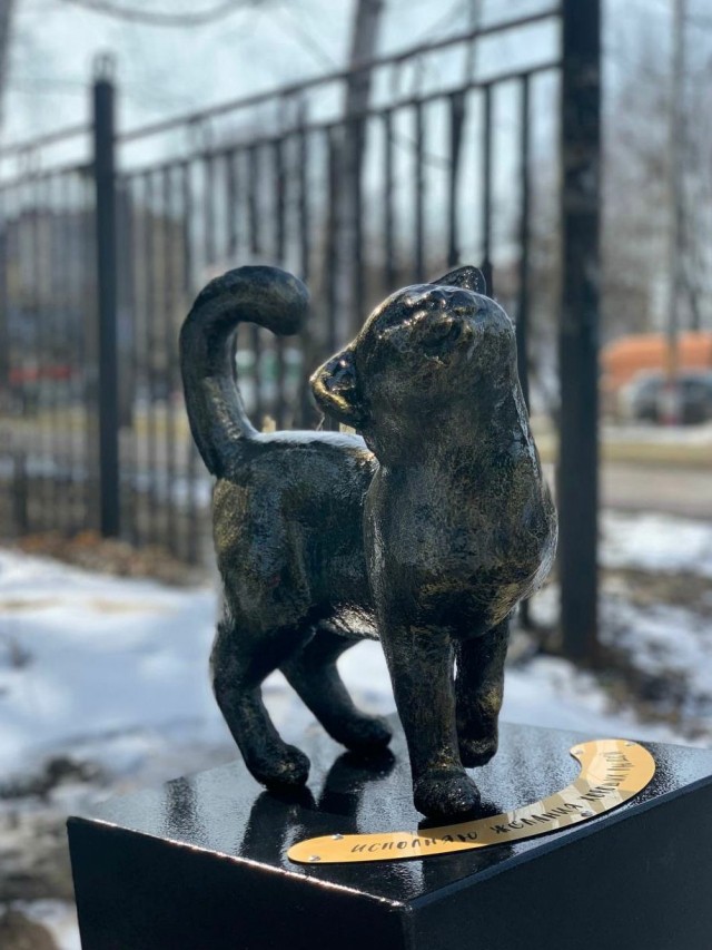 Скульптуру кошки установили в городе Выкса Нижегородской области