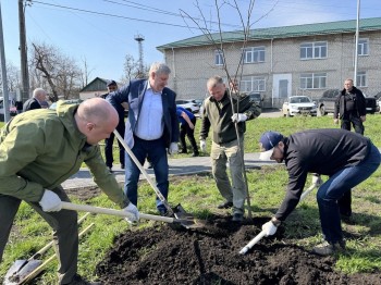 В Харцызске в сквере «Нижегородский» высадили аллею в честь 80-летия Победы в Великой Отечественной войне