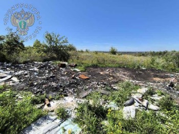Прокуратура затребовала ликвидировать свалку у Новотроицкого в Татарстане Прокуратура затребовала ликвидировать свалку у Новотроицкого в Татарстане