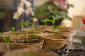 Нижегородские агропредприятия приняли участие в испытаниях биопрепаратов в рамках проекта "Иннагро"