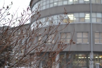 Информационную систему управления городским имуществом разработают в Нижнем Новгороде