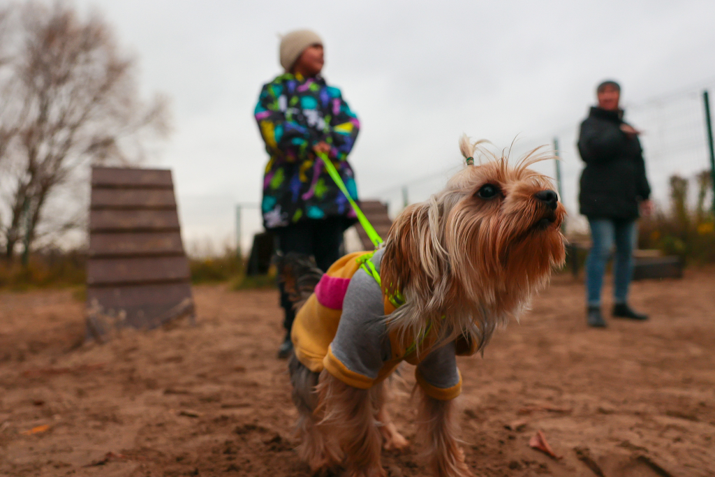 KRMV8178.jpg KRMV8178.jpg