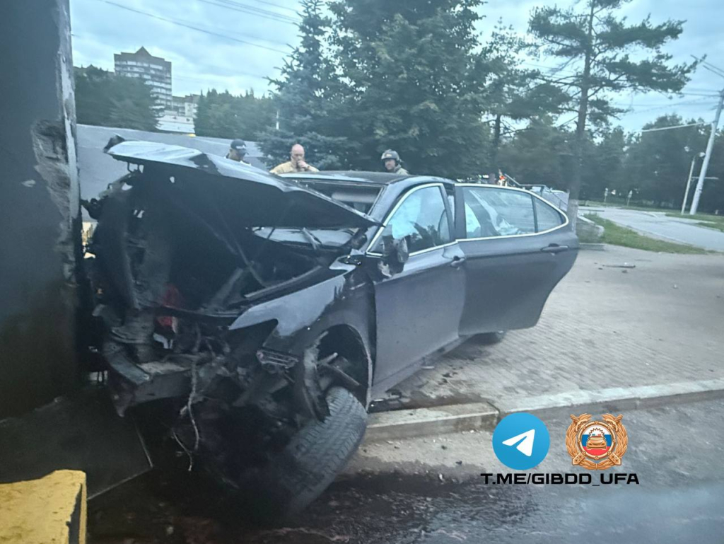 IMG_20250822_074537_766.jpg IMG_20250822_074537_766.jpg