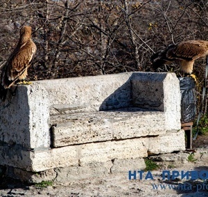 Фоторепортаж 01.12.2025 — 15:28 - фото 88