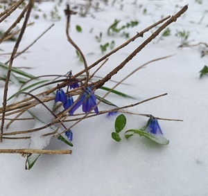Фоторепортаж 20.04.2026 — 11:25 - фото 10