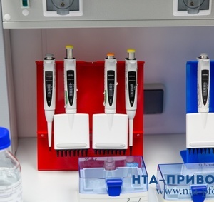 Фоторепортаж 30.10.2025 — 21:00 - фото 29